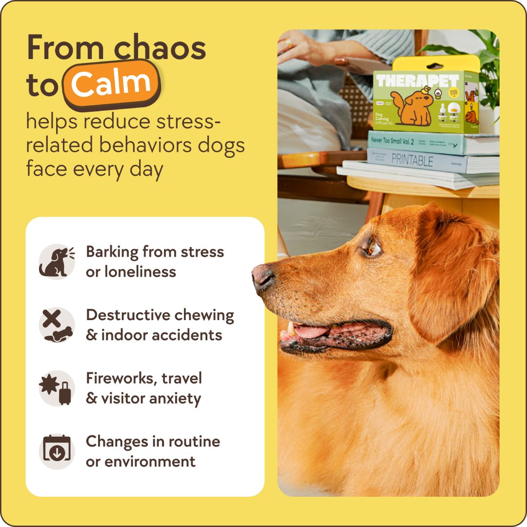 TheraPet Dogs Refills