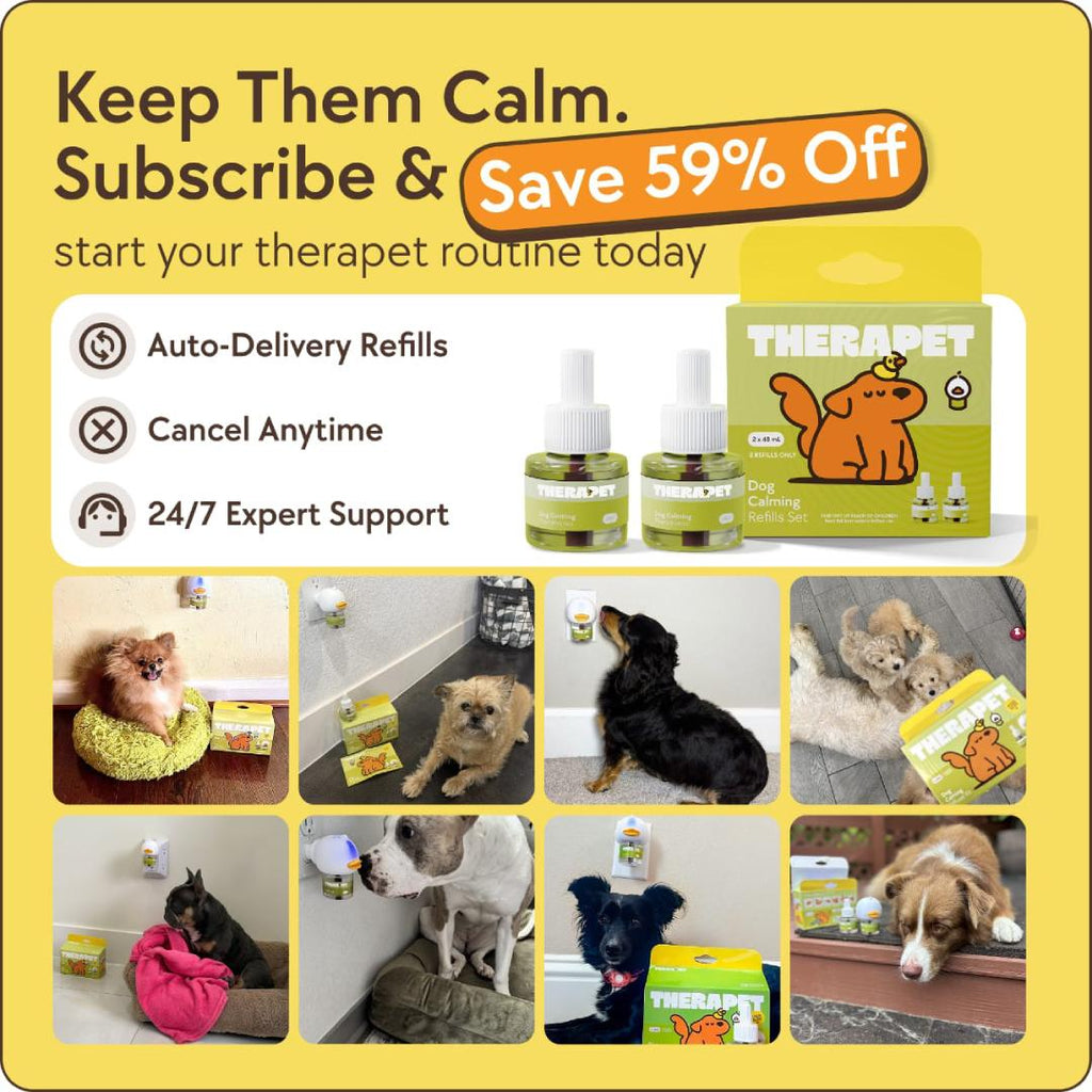 TheraPet Dogs Refills
