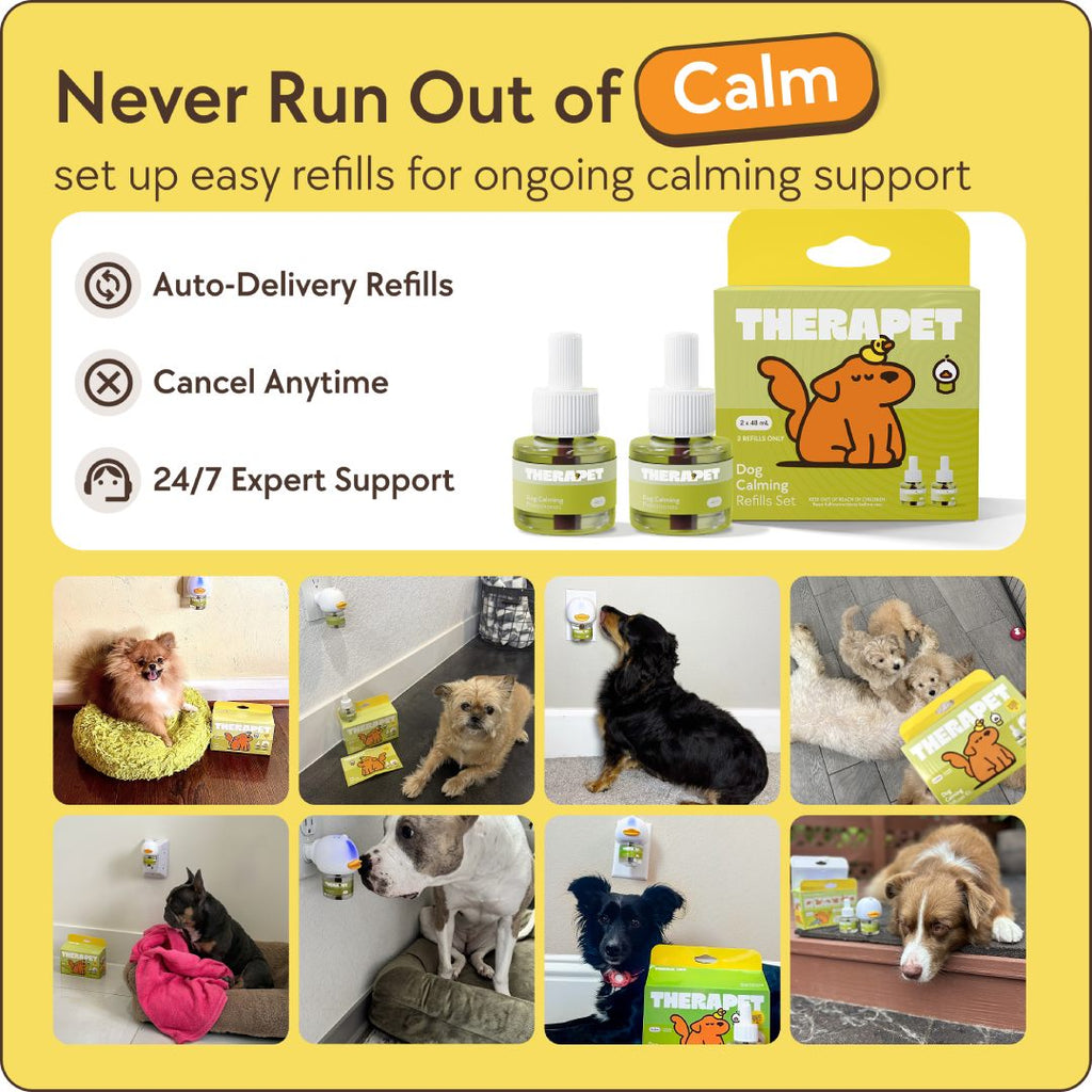 TheraPet Dogs Refills